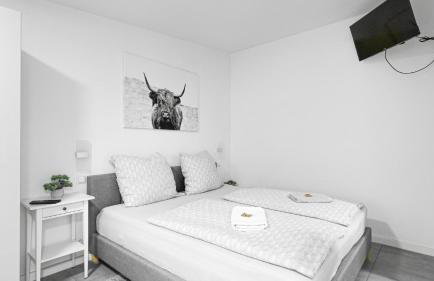 Ferienwohnung Domspatz mit Klimaanlage - Photo 2