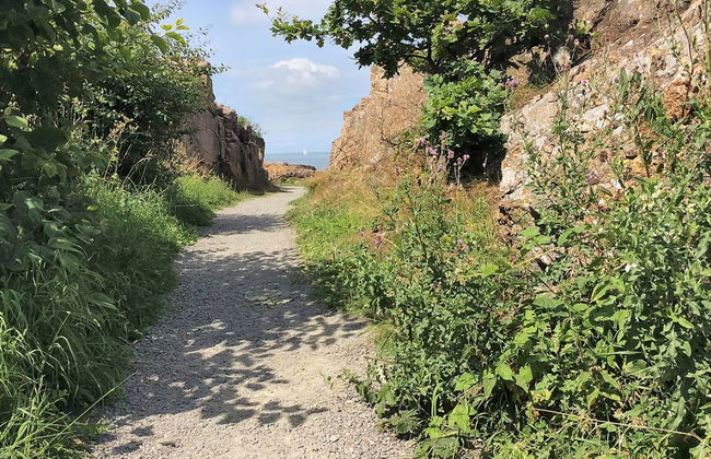 "Seba" - 500m from the sea - Foto 8