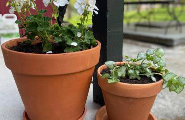 Zen in Narrowsburg Retreat near Town - Foto 63