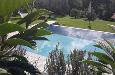 Casolare il Moro - Foto 8