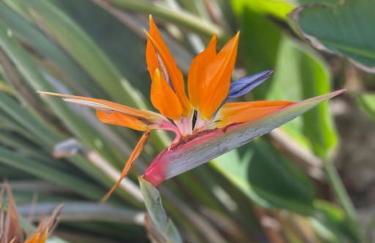 Villa in Moraira - El Farò - Foto 58