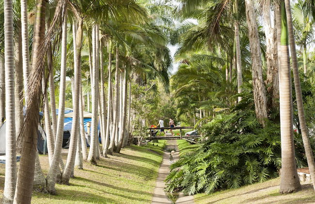 Ingenia Holidays Noosa North - Foto 67