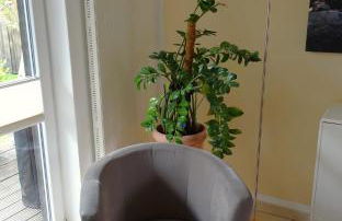 Haus Ilsegarten - Foto 28