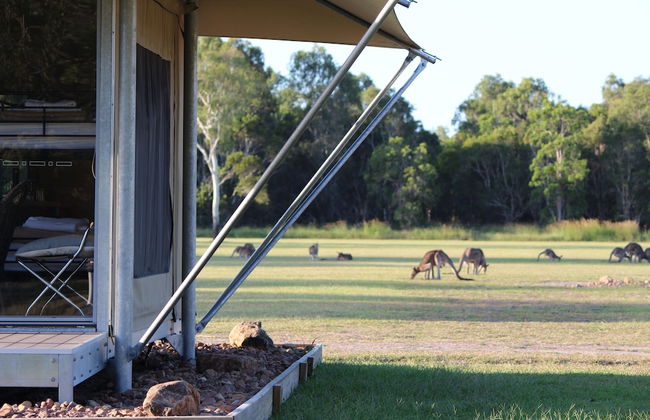 Habitat Noosa - Foto 22