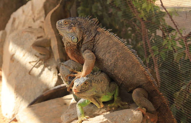 Canyon’s Kingdom Experience & Aqua Park Ticket - Foto 7