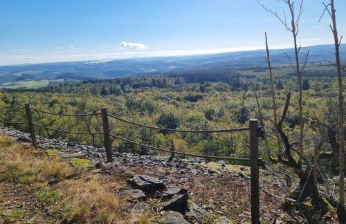 Rustikale Wanderhütte am Angelteich - Foto 26
