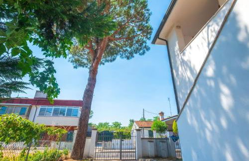 Holiday Home PINO 5 by Interhome - Photo 5