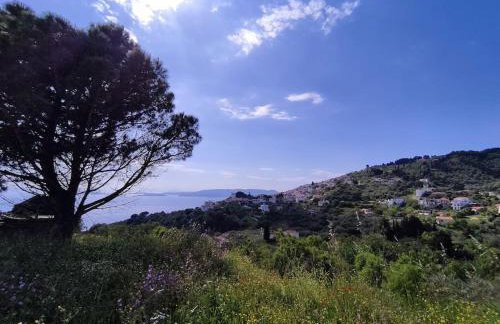 Cozy Mountain View - Foto 8