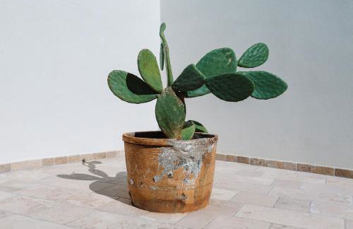 Iolanda Vacanze - Foto 14