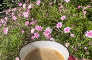 Villa Agnanti - Photo 4