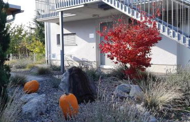 Ferienwohnen im Ziegelfeld - Foto 10