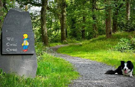 Glyder - Snowdonia, North Wales - Photo 33
