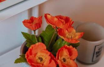 Casa Melisa I 61m² I WLAN - Photo 27