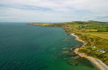 Oyster Catcher - Foto 21