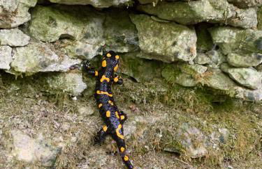 Corte 40 Rooms - Foto 13