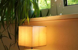 Kempten zentral im Grünen - Foto 19