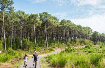 Appartement au bord de la plage et de la foret - Foto 16