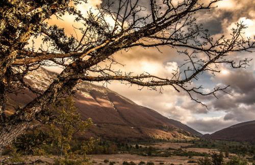 Favelle House - Foto 68