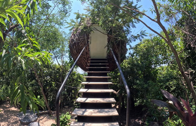 Bosque Geométrico - Foto 70