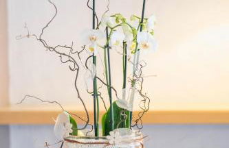 Ferienhaus Eifelurlaub - Foto 32