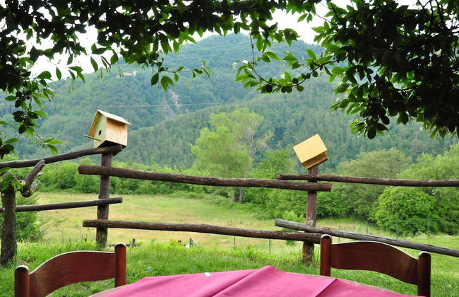 Agriturismo Le Piagge - Foto 30