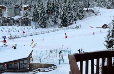 Courchevel au pied des pistes, La Tania - Foto 6