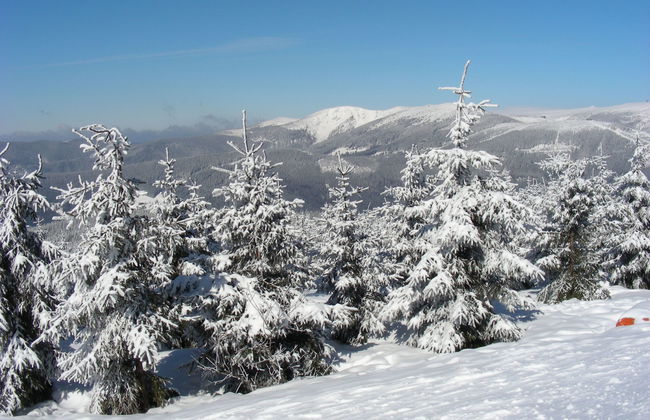 Horní Mísečky - Foto 43