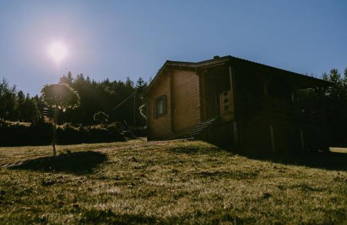 Domki Pod Jałowcem - Foto 37
