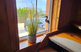 Domek Malina - Foto 4