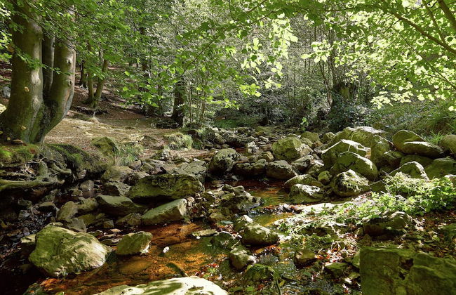 Jalhay Pondside Forest Home - Foto 39