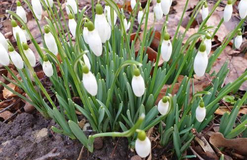 Dom na Warmii -Siedlisko Jabłonka - Foto 65