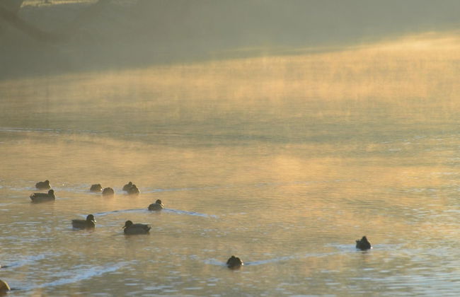 Doppelhaushaelfte in Hasselfelde - Foto 20