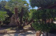 Orosei RE - Villa Aurora Rimedia a 50 metri dal mare - Foto 17