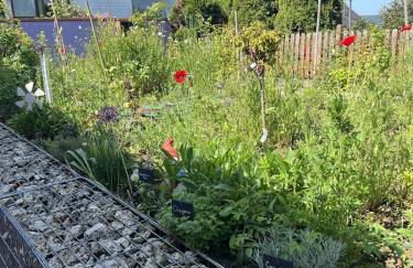 Luxus Studio 10 Min zur Porta Nigra inkl Parkplatz - Foto 58