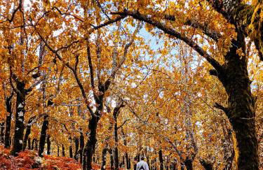 Cabaña en plena naturaleza Parque Natural Río Mundo - Foto 36