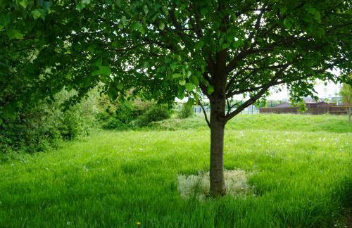 VIP@TheMeadows - Foto 25