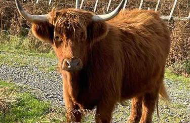 Southend, Mull of Kintyre, Campbeltown - Foto 25