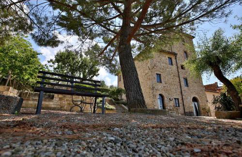 Fattoria di Cinciano - Foto 18