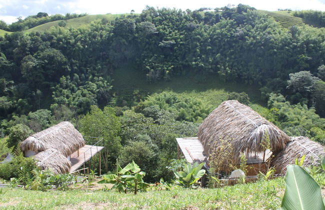 encanto Toscano - Photo 14