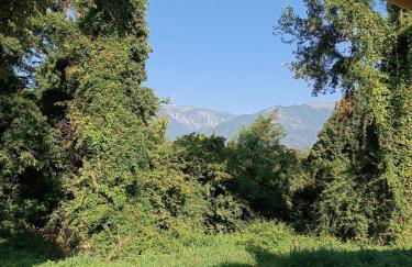 Agriturismo La Collina delle Api - Foto 23