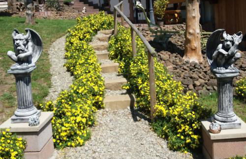 Ferienwohnung am Hochrhöner - Foto 11