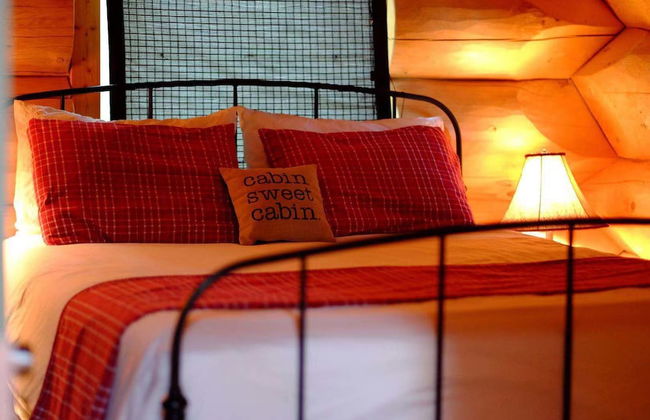 Yukon Pines - Photo 3