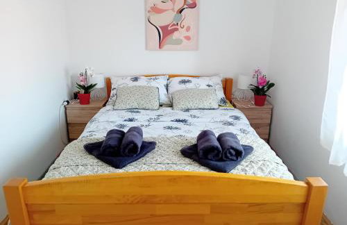 Apartmani Ani - Foto 8