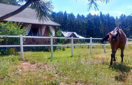 Domek w Sosnach - Foto 22