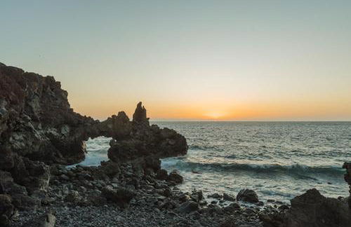 LAR Tamaduste - Foto 18