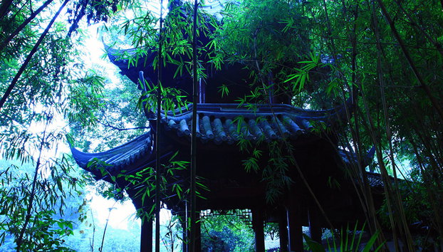 Full Day Panda Hometown and Taoist Mountain - Private - Photo 2