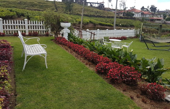 The Tea Garden - Foto 30