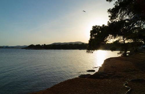 Apartamentos Los Arcos - Photo 19