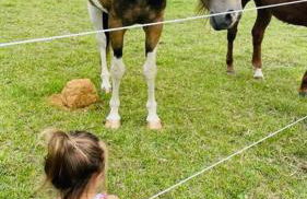 Lakefront Luxury with Private Beach, Sleeps 14 - Foto 20