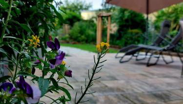 Ruff un Runner - Foto 5, Garden